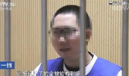 91先生直播,揭秘直播界的魅力与挑战